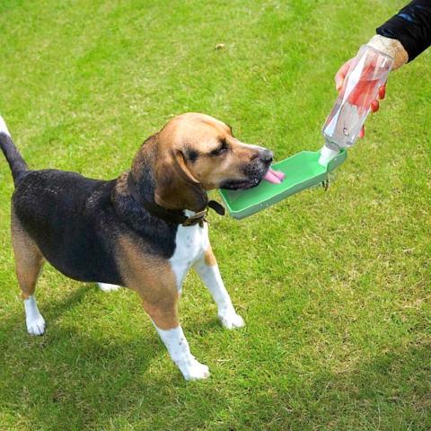 ﻿Dog Water Bottle - Blue - 250ml - Happee Shoppee