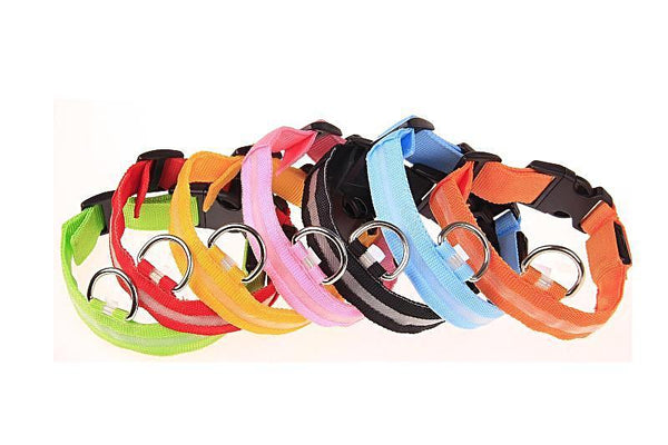 ﻿Dog Collars - colorful RGB - L - Happee Shoppee